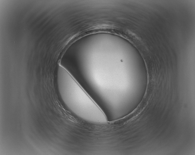 X0000052581313200507010903