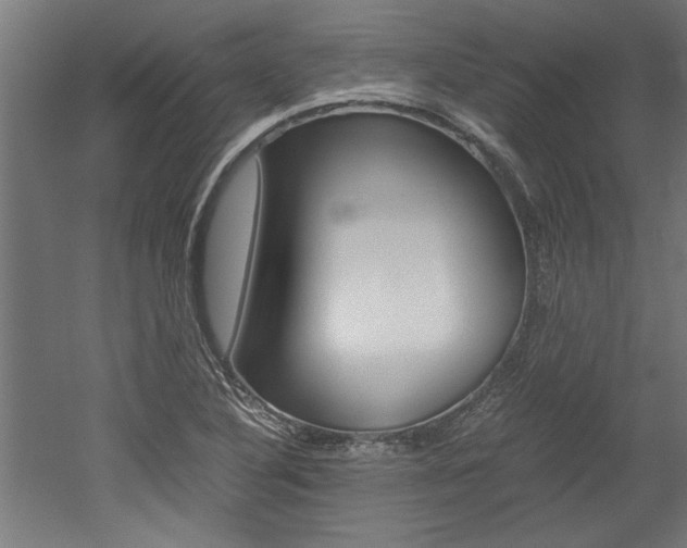 X0000052581316200507010903
