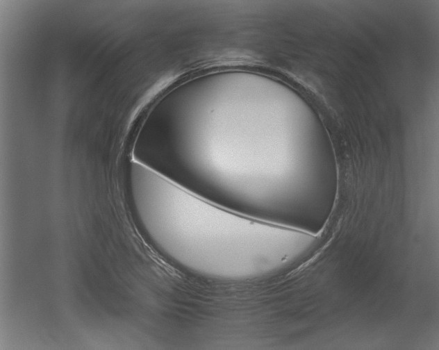 X0000052581317200507010903