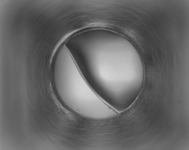 X0000052581323200507010903