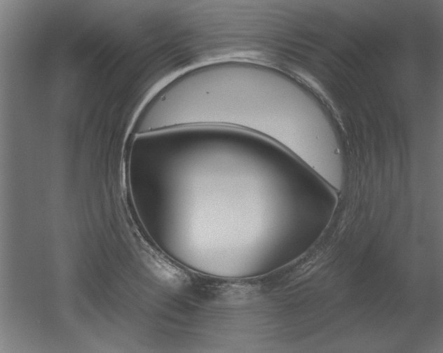 X0000052581324200507010903