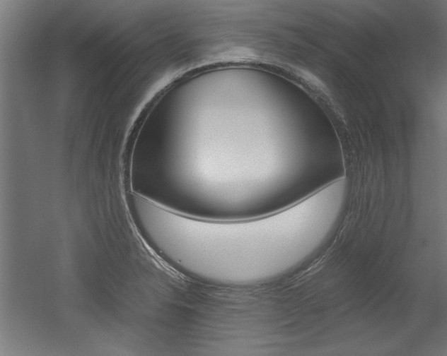 X0000052581326200507010903