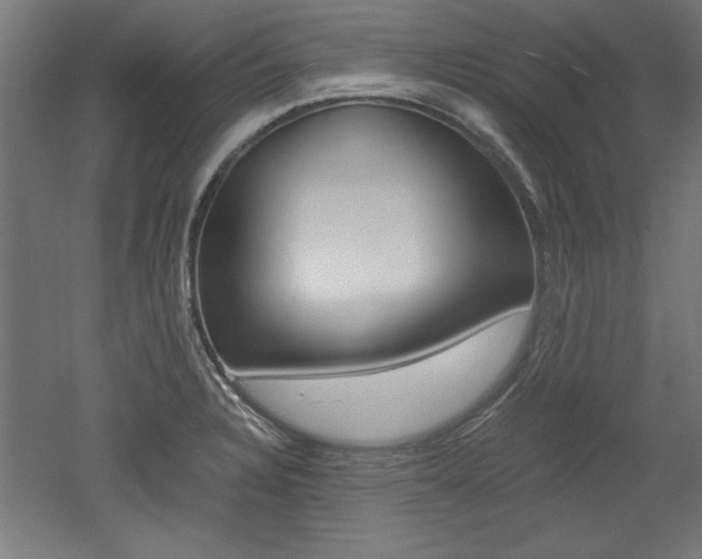 X0000052581328200507010903