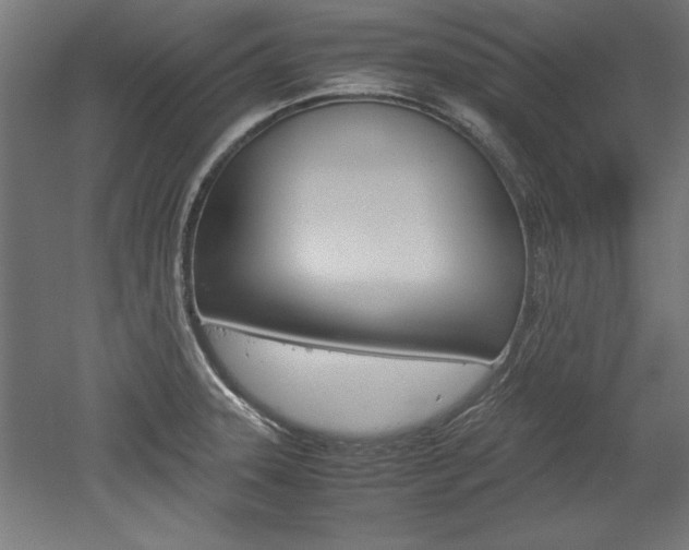 X0000052581331200507010903