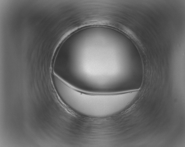 X0000052581332200507010903