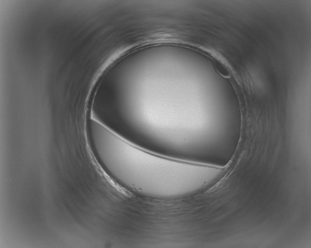 X0000052581333200507010903