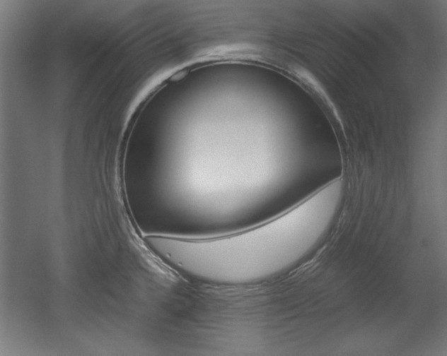 X0000052581336200507010903