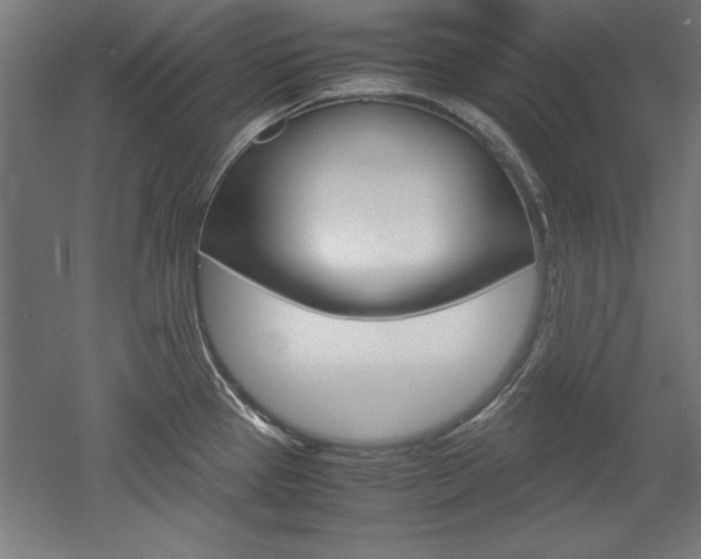 X0000052581337200507010903
