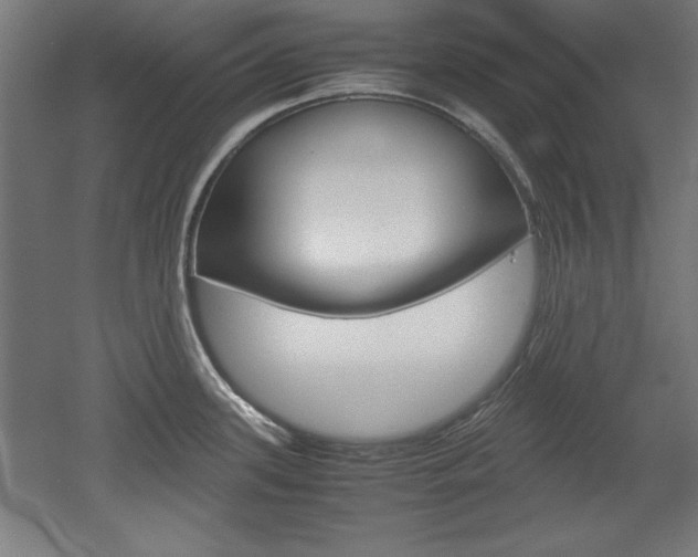X0000052581339200507010903