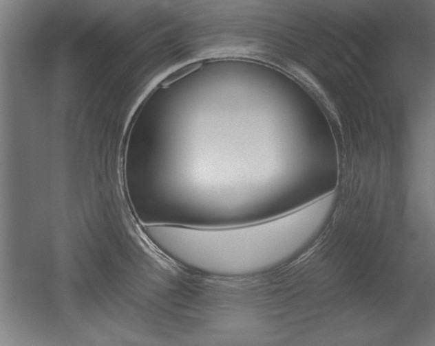 X0000052581340200507010903