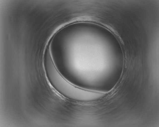 X0000052581342200507010903