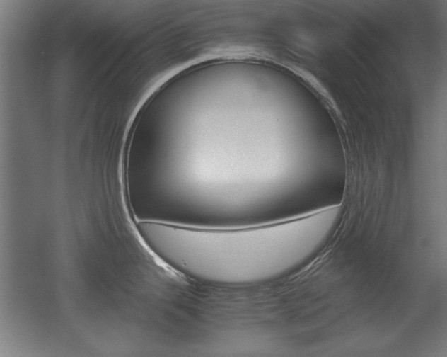 X0000052581343200507010903