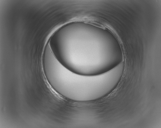 X0000052581344200507010904