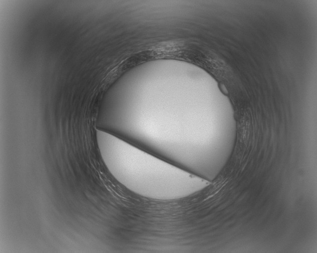 X0000052581346200507010903