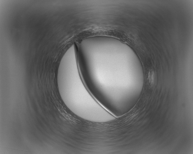 X0000052581348200507010903