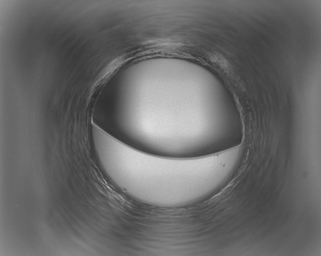 X0000052581354200507010903