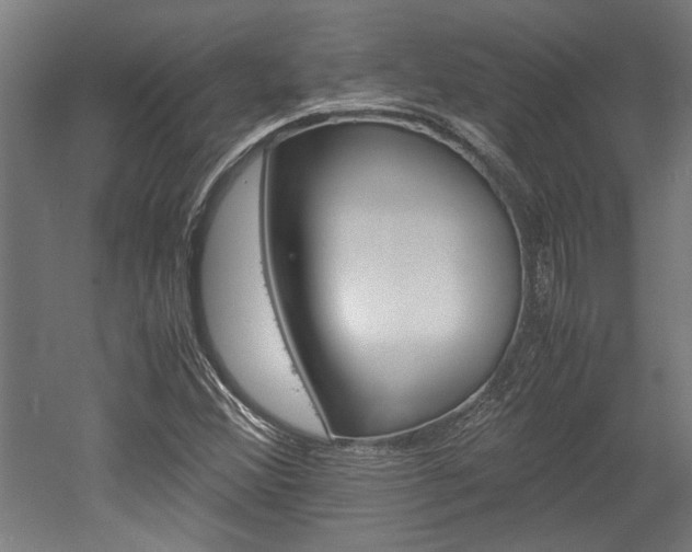 X0000052581356200507010902