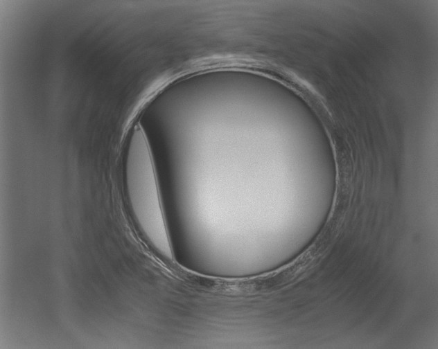 X0000052581365200507010902