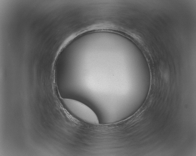 X0000052581366200507010902