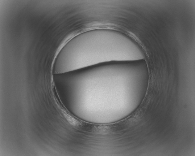 X0000052581370200507010902