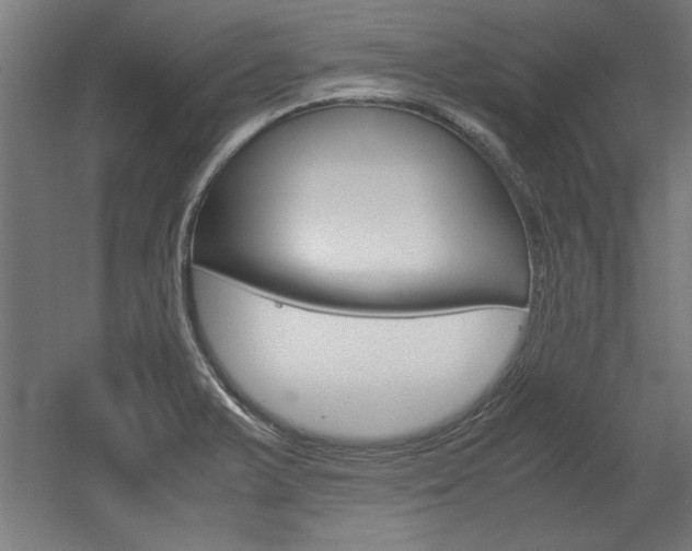 X0000052581375200507010902