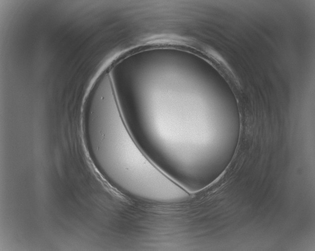 X0000052581376200507010902