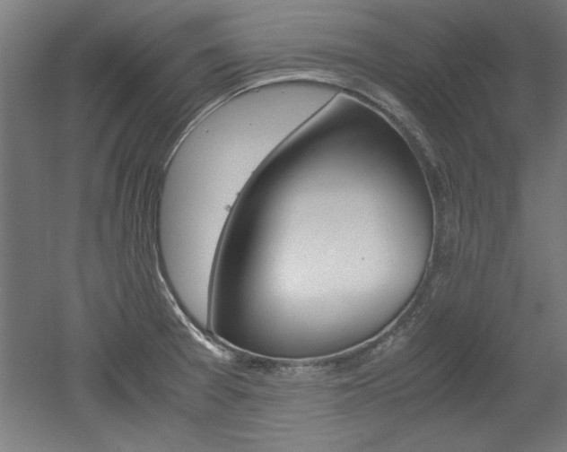 X0000052581377200507010902