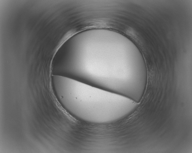 X0000052581378200507010902
