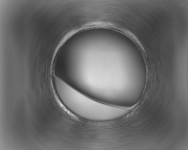 X0000052581381200507010902