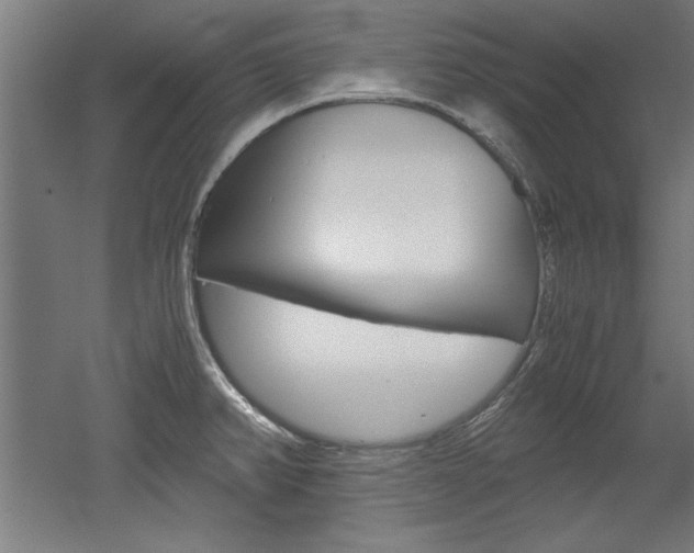 X0000052581382200507010902