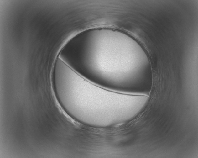X0000052581383200507010902
