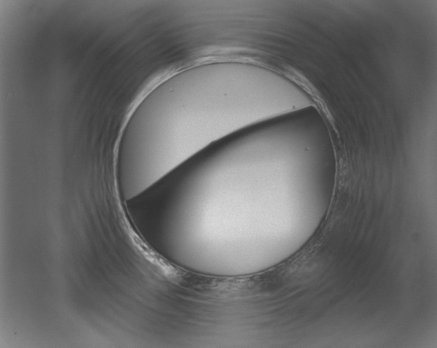 X0000052581386200507010902