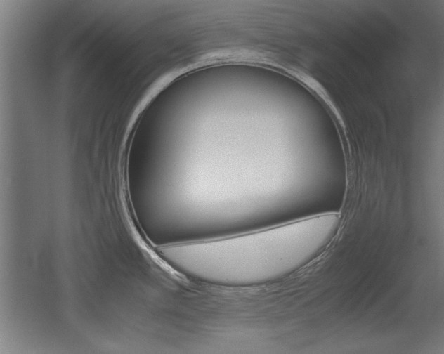 X0000052581389200507010902