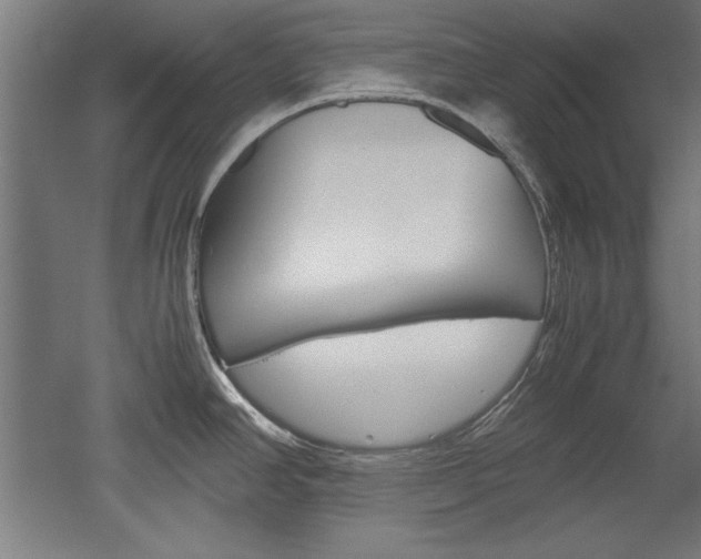 X0000052581390200507010902