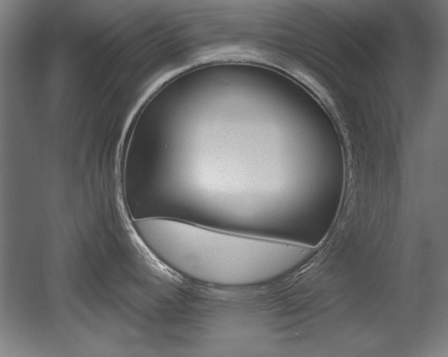 X0000052581392200507010902
