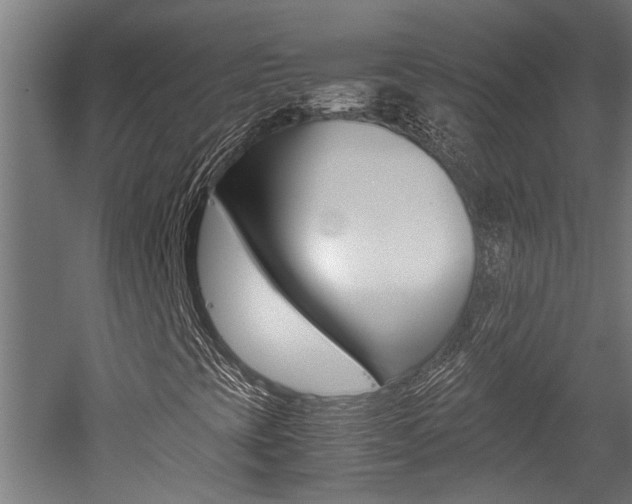 X0000052581393200507010901