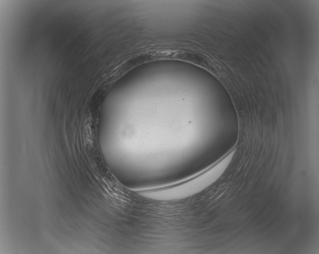 X0000052581394200507010901