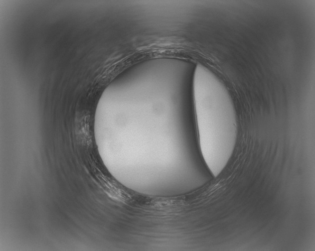 X0000052581396200507010901