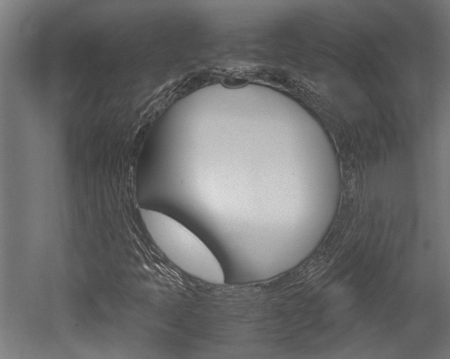X0000052581397200507010901