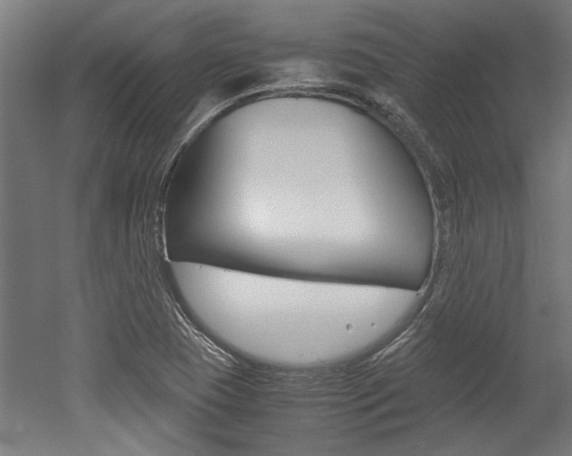 X0000052581409200507010901