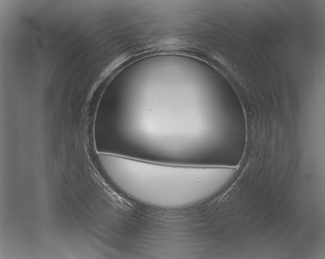 X0000052581410200507010901