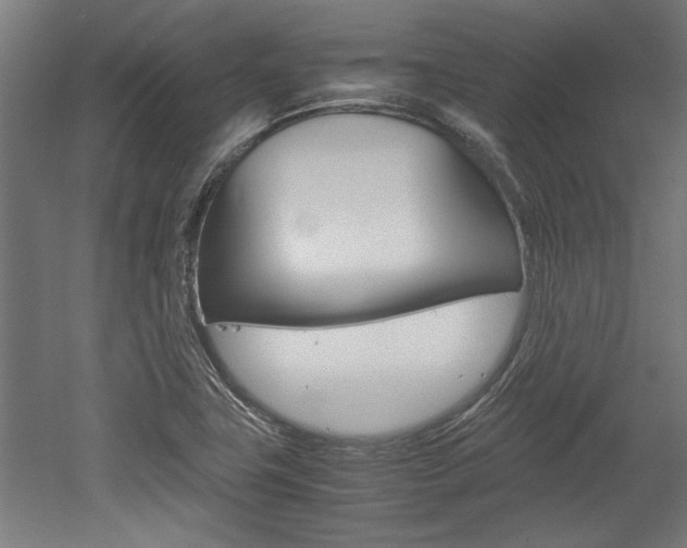 X0000052581411200507010901