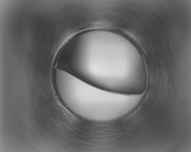 X0000052581415200507010901