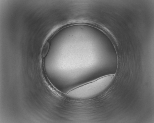 X0000052581416200507010901