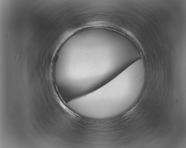 X0000052581421200507010902