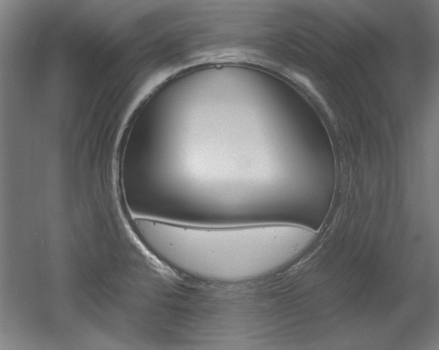 X0000052581424200507010902