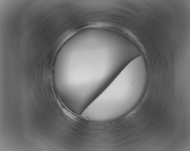 X0000052581425200507010902