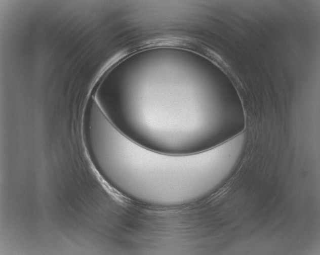 X0000052581426200507010902