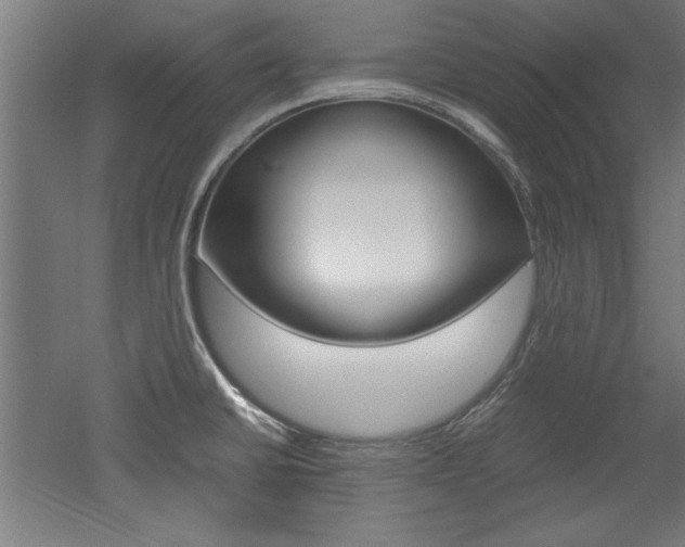 X0000052581430200507010902