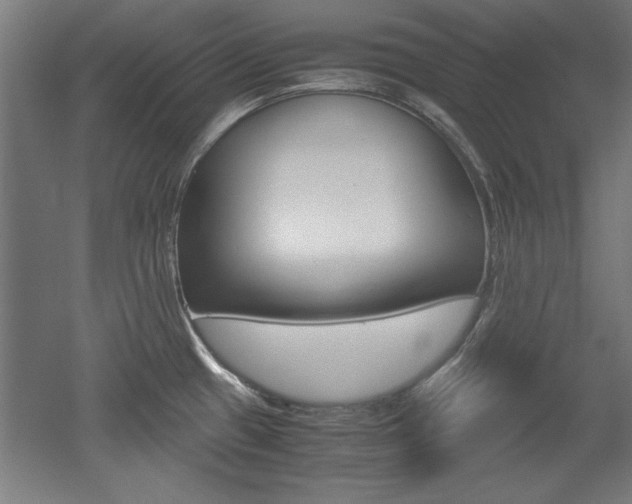 X0000052581433200507010902